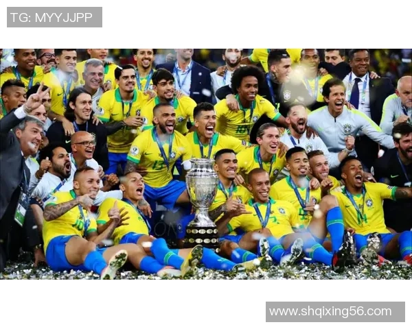 塞内加尔足球明星及其在国际赛场的卓越表现和影响力